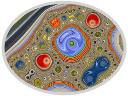 CD6b detail
