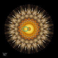 Math art design. 18 Circles (with ellipse detail) in shades of gold/brown for print, made with Möbius maps of the unit disk.