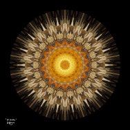 Math art design. 18 Circles in shades of gold/brown for an art print, made using non-Euclidean (Möbius) maps of the unit disk.