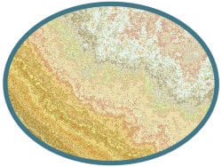 CD7j detail