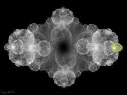 Fractal picture. Image DGIFS11a (with ellipse detail) a black and white fractal made with a 2-vertex directed graph IFS.