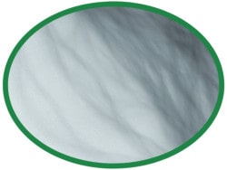 DGIFS11e detail