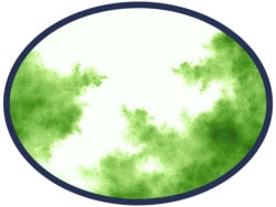 DGIFS7d detail