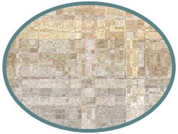 DGIFS8c detail