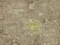 Fractal math design. Ruins, a dark brown and beige mathematical image for a fine art print, made with a directed graph IFS.