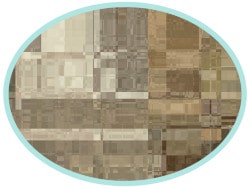 DGIFS8e detail