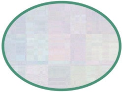 DGIFS8f detail