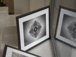 Fractal art. A fine art print of the black and white fractal picture Charged Curve, a Sierpiński curve Julia set.